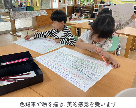 色鉛筆で絵を描き､美的感覚を養います